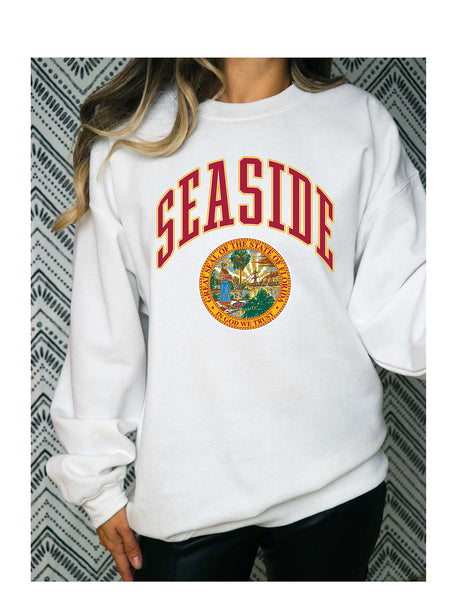 Seaside Sweatshirt, Seaside Sweatshirt, Seaside Sweatshirt Women, Florida seal Sweatshirt, Seaside Sweater Men, Beach Sweatshirt